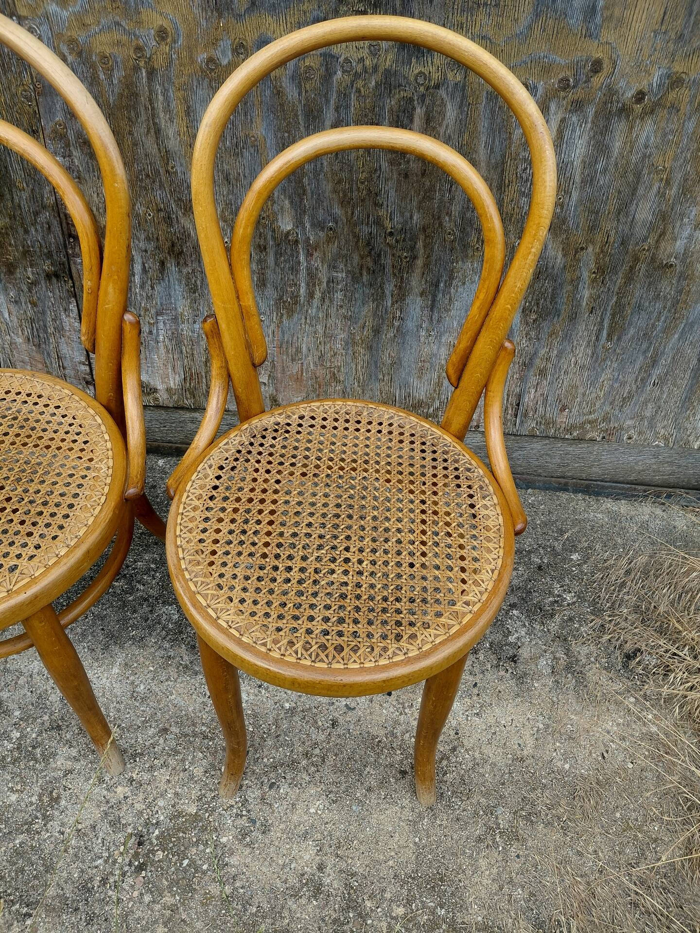 chaises Thonet à l'unité