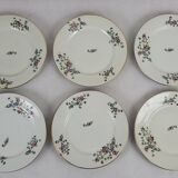 6 flat plates decorated with barbs