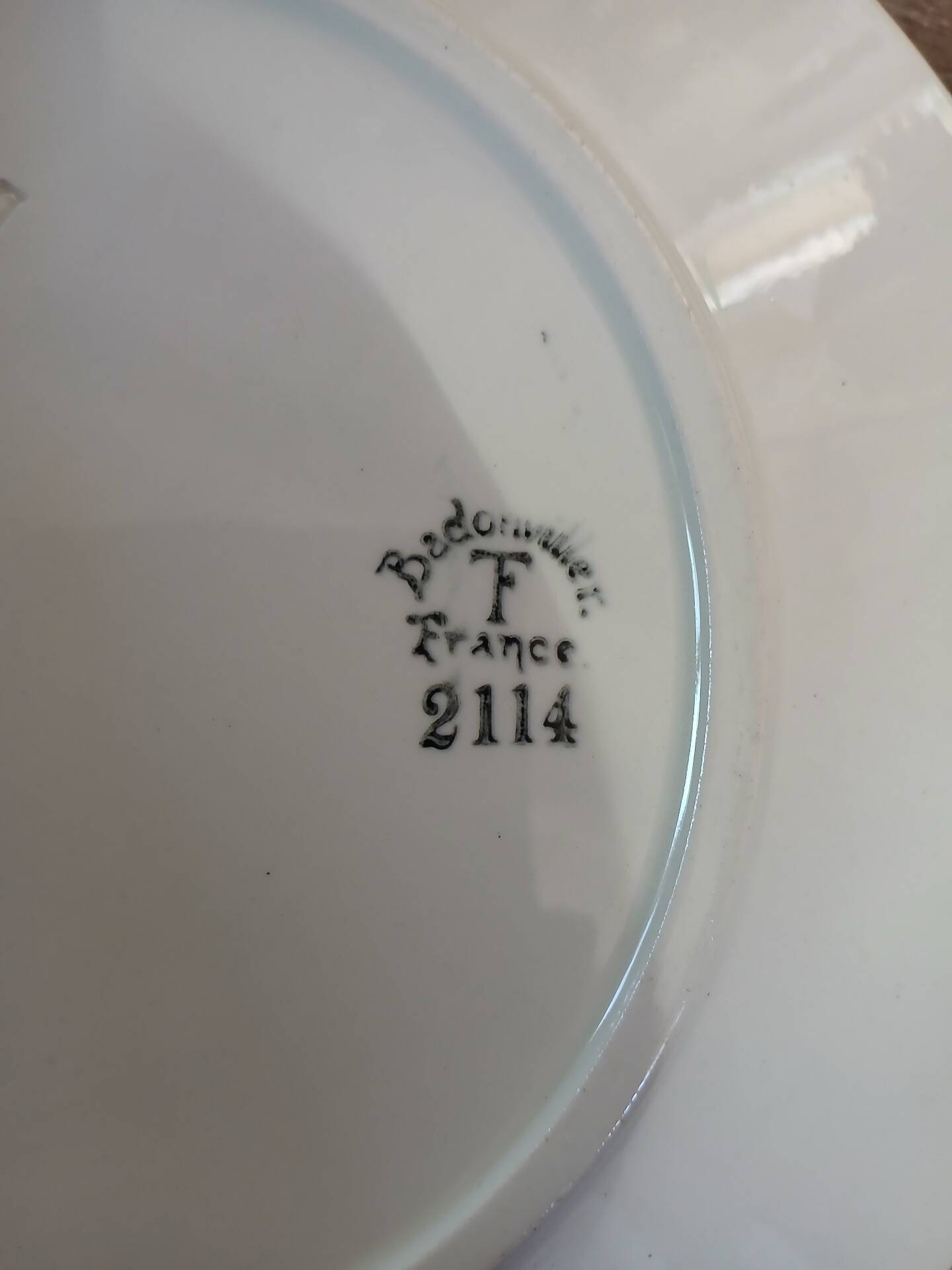 12 flat plates in ironstone from Badonviller