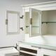 German Dental Instrument Cabinet by Arnold Biber, Pforzheim, Circa 1920