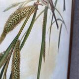 Large ornithological board