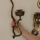 Pair of Egyptian Revival Style Engraved Brass Cobra Sconces