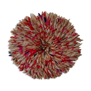 Juju hat multicolore