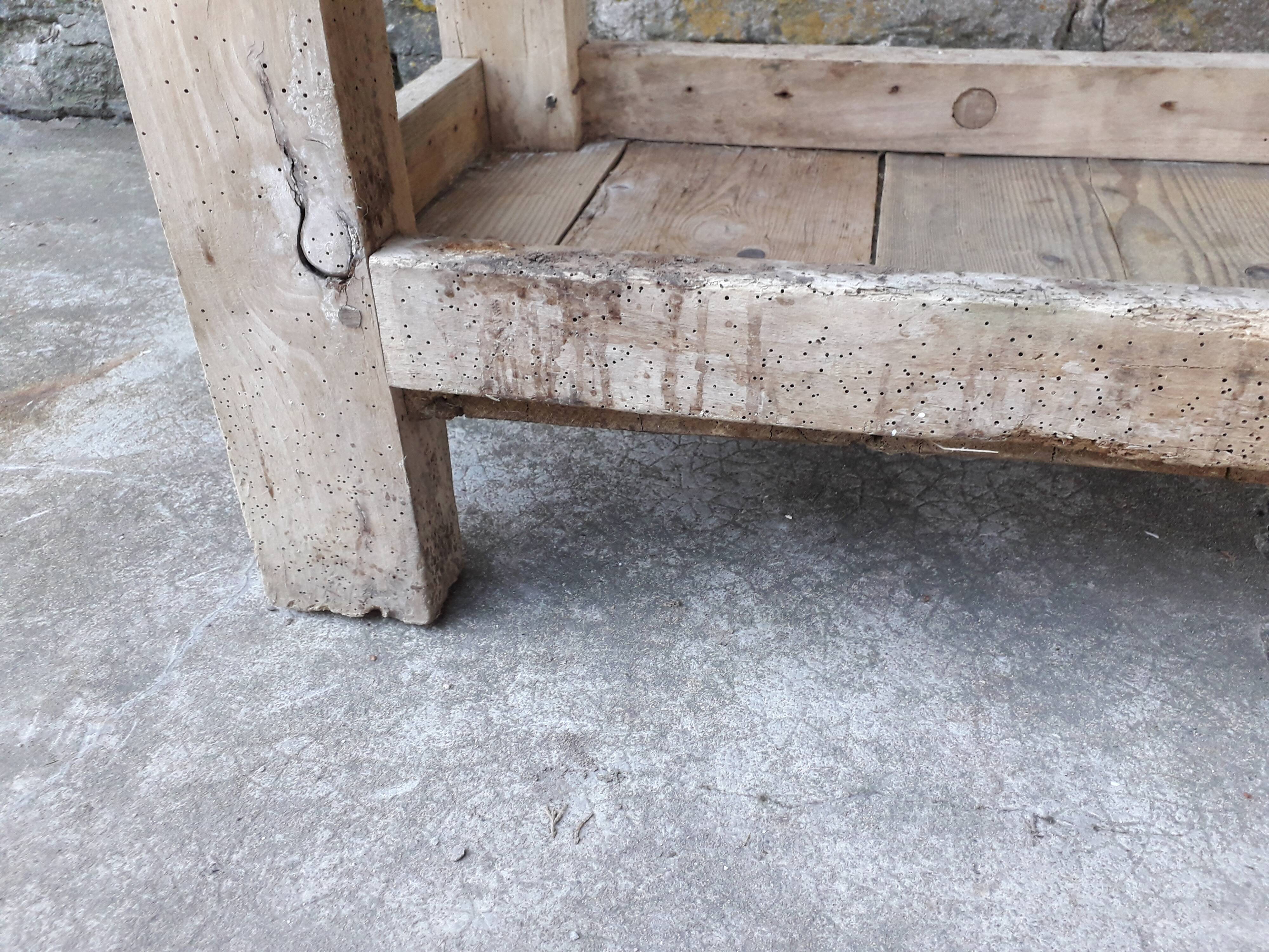 Old established 166 cm