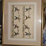 18th century engraving paintings - Fencing - Robert Benard