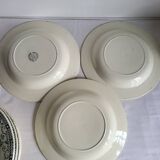 11 Deep Plates Ironstone Salins Cambacérès Decor