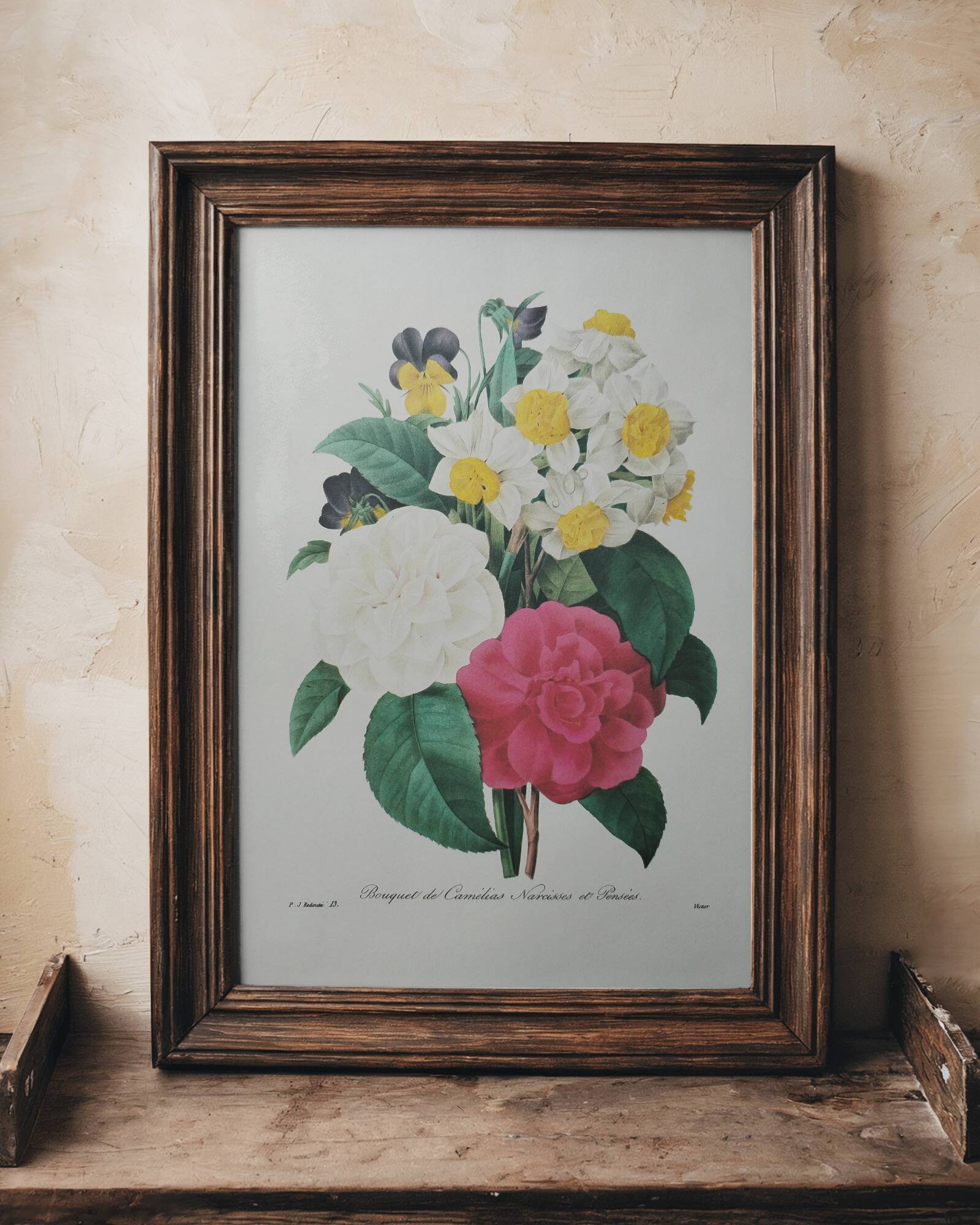 Original illustrated plate Bouquet of camellias, daffodils and pansies
