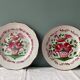 Set of 2 plates XIXth Les Islettes, rooster decoration and flowery basket