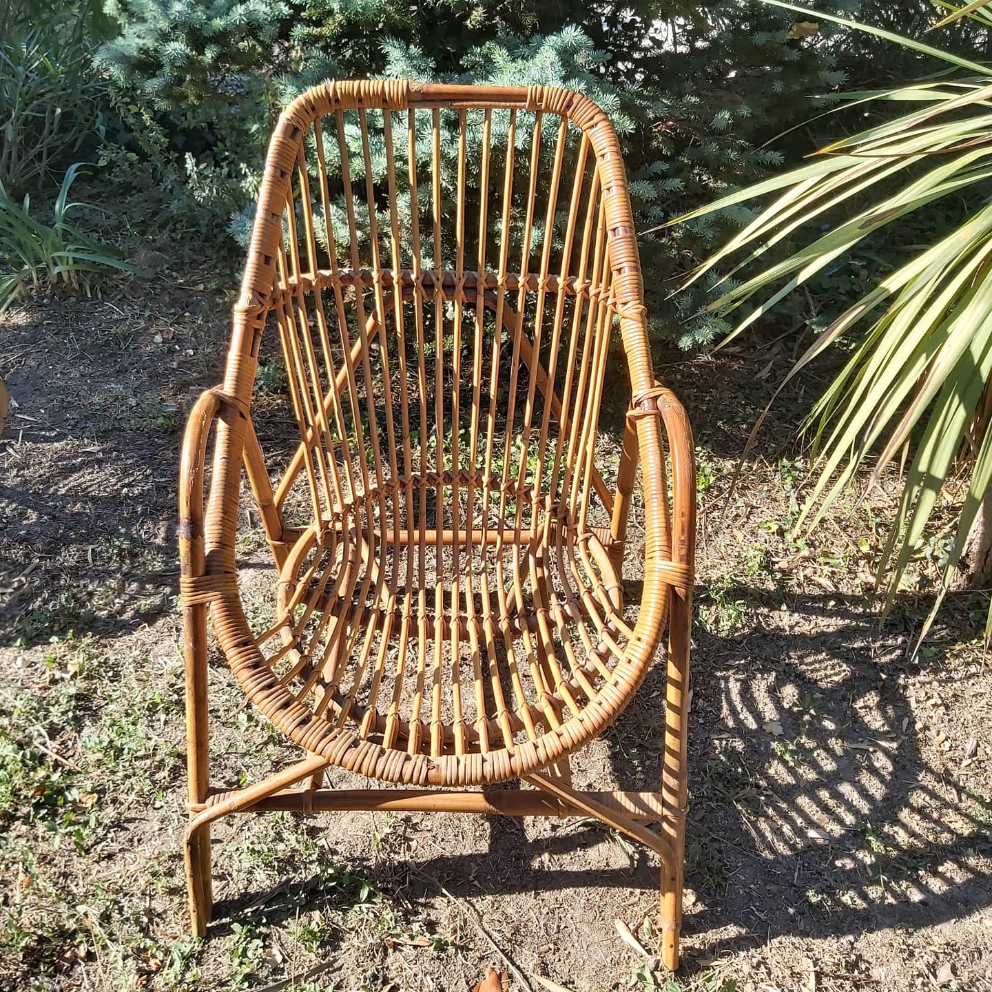 Vintage rattan armchair