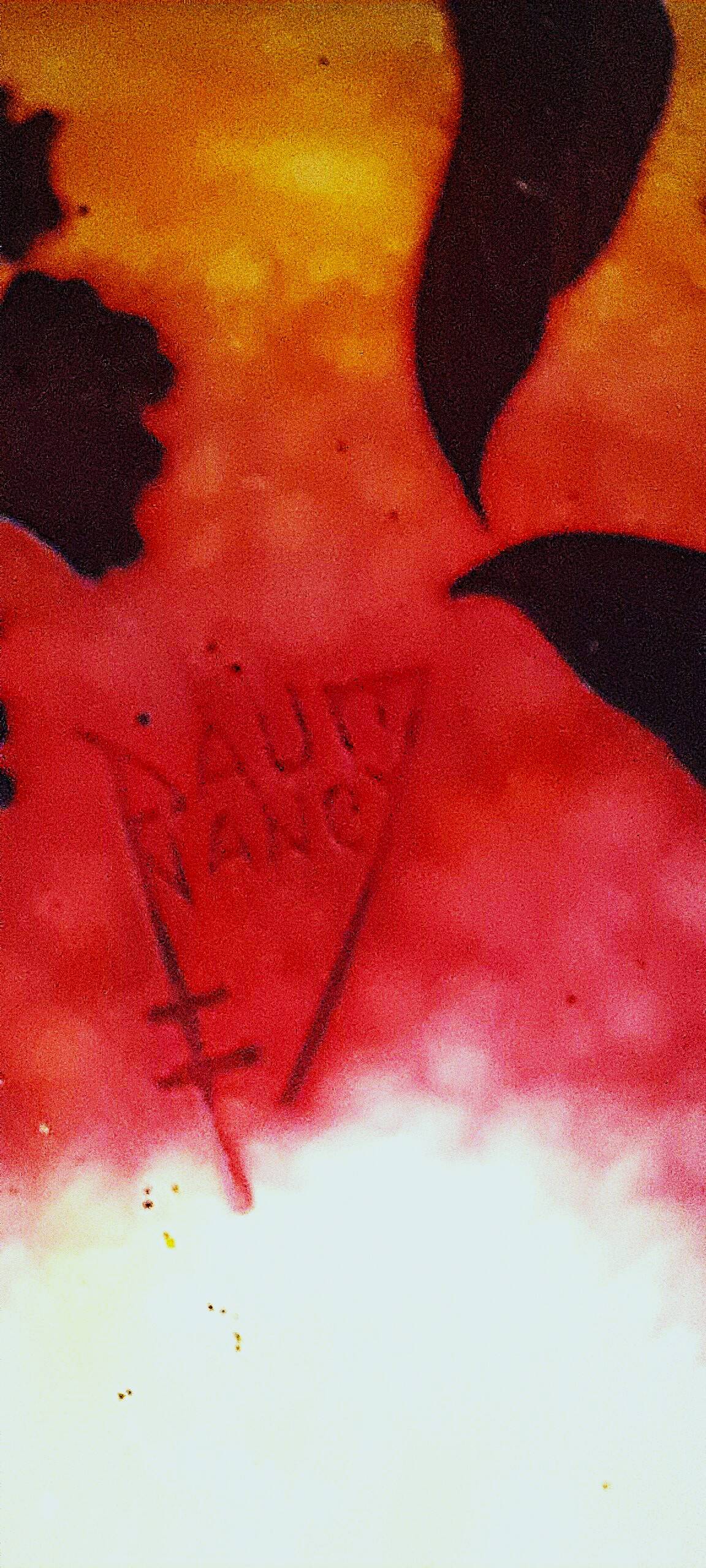 Daum Nancy Art Nouveau Ceiling Chandelier Pendant Light France 1900 Art Object