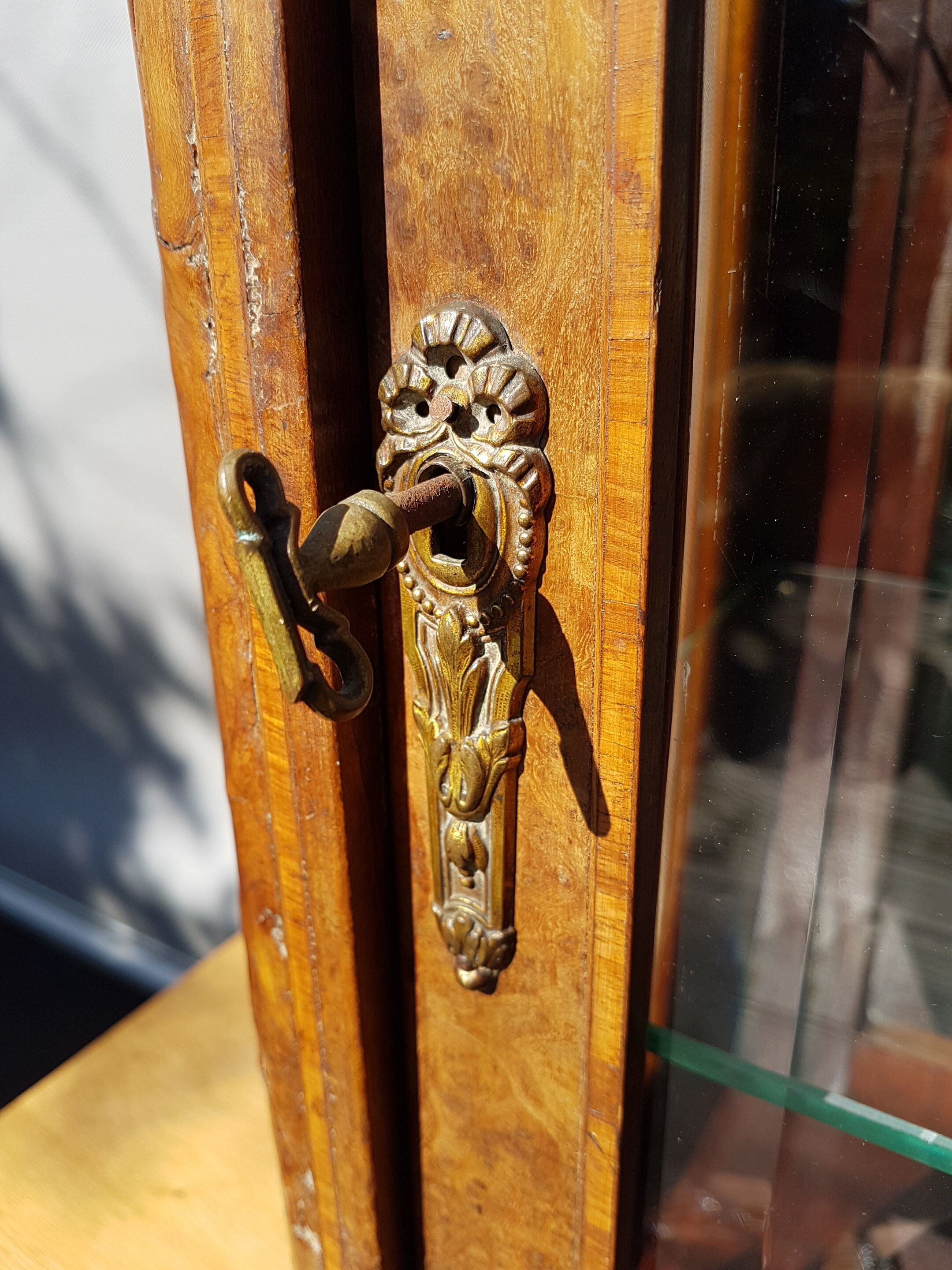 Curiosity cabinet showcase 1900