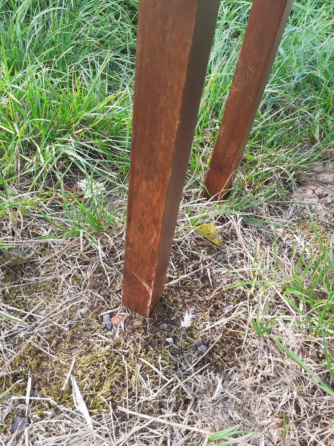 Pair of vintage bedside tables