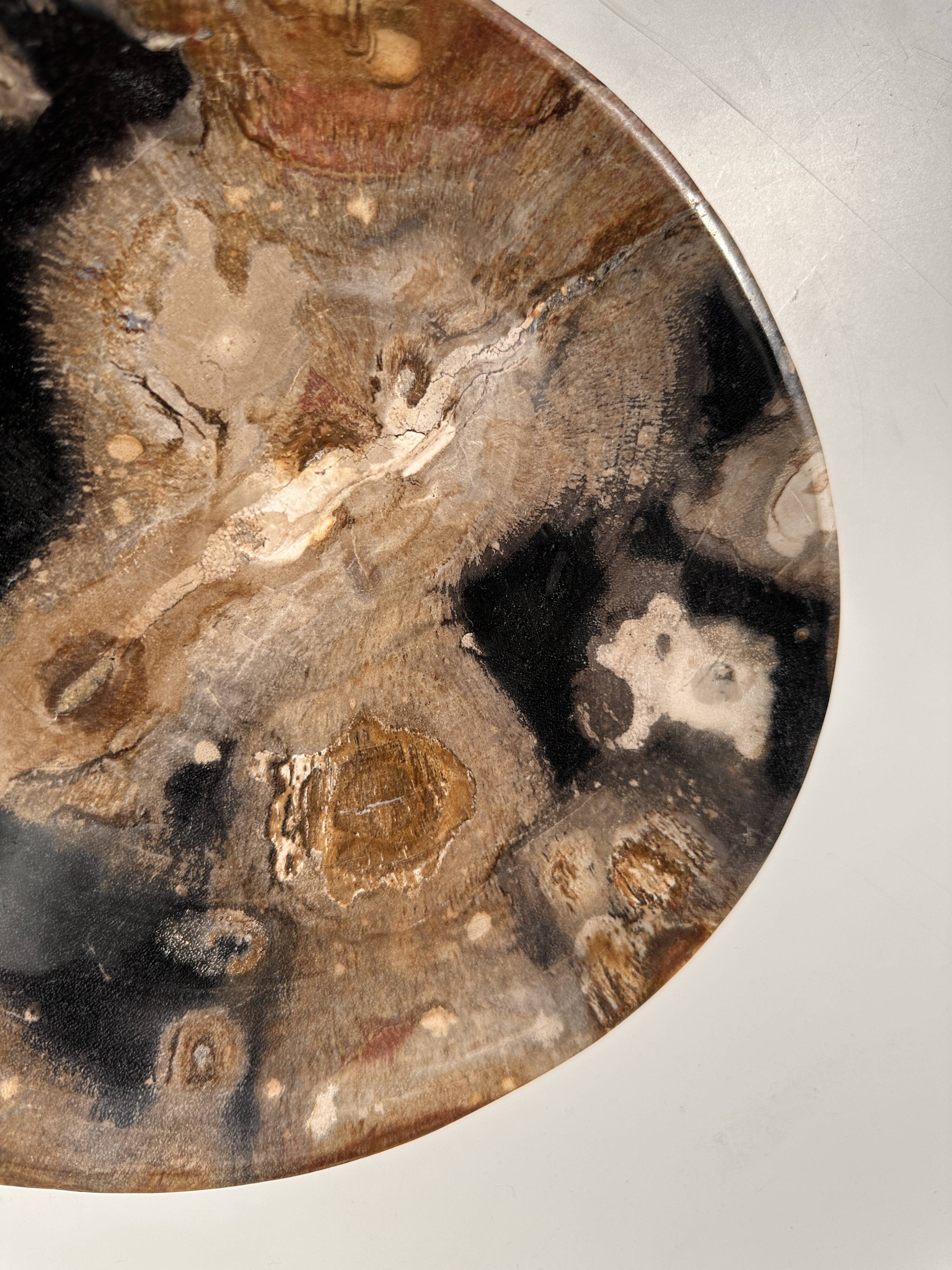 Large empty pocket or dish in petrified wood