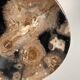 Large empty pocket or dish in petrified wood