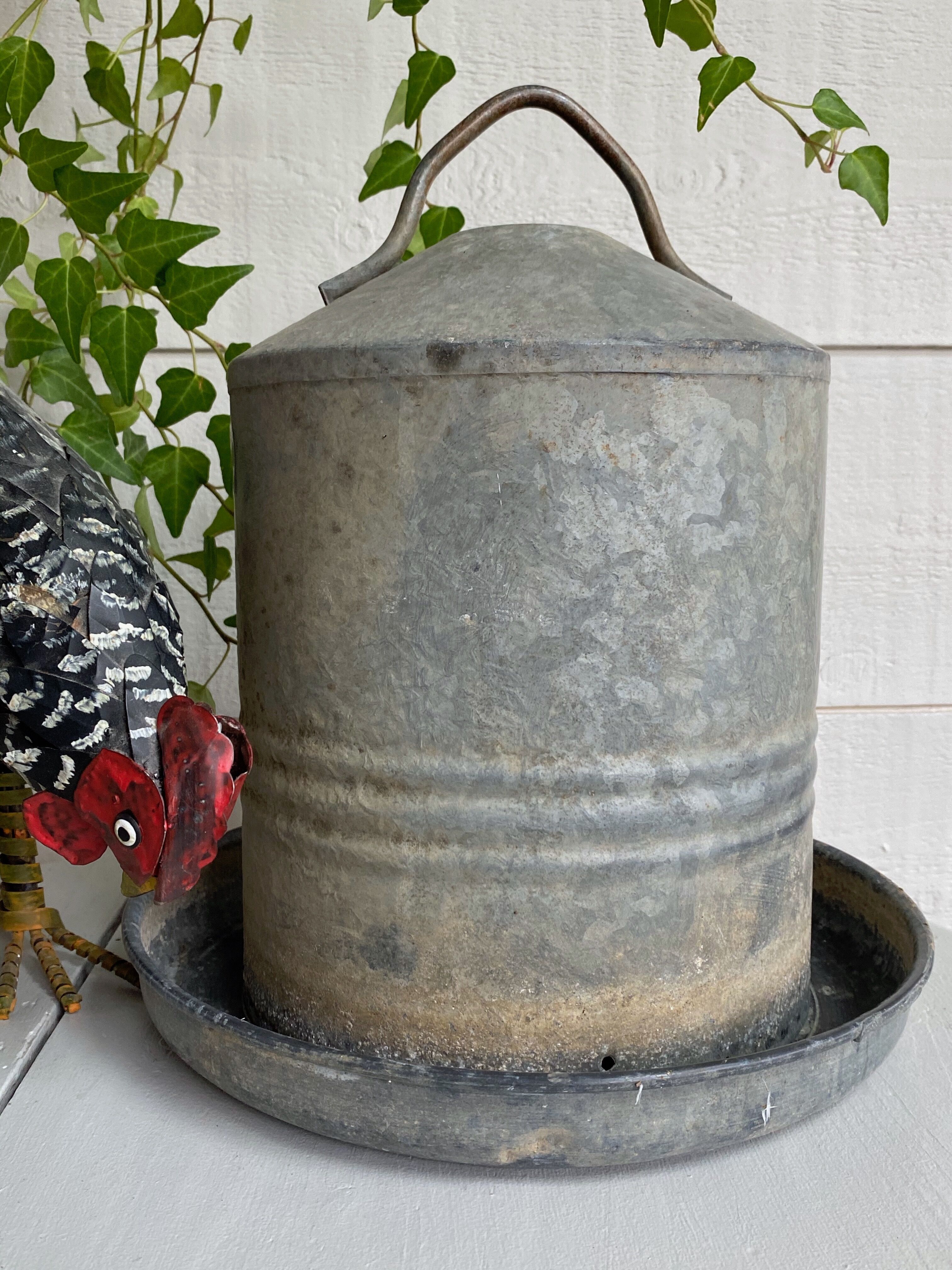 Zinc bird drinker