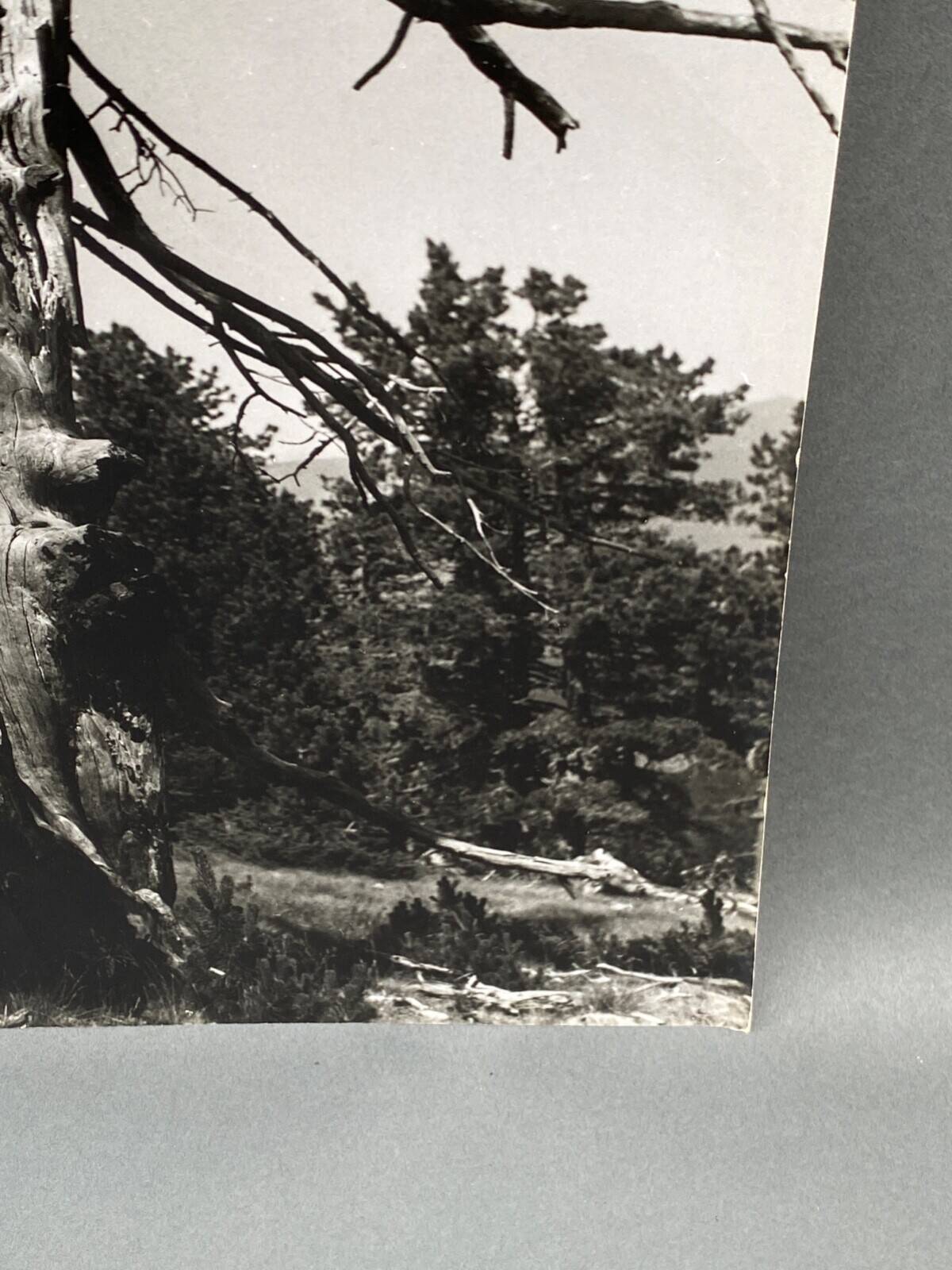 Photographie argentique Bernard Darot Les Vaincus XXe AFIAP