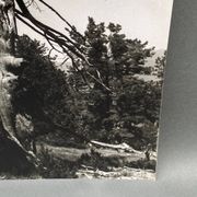 Photographie argentique Bernard Darot Les Vaincus XXe AFIAP