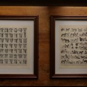 Original lithograph on algae