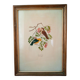 Framed Bird Lithograph
