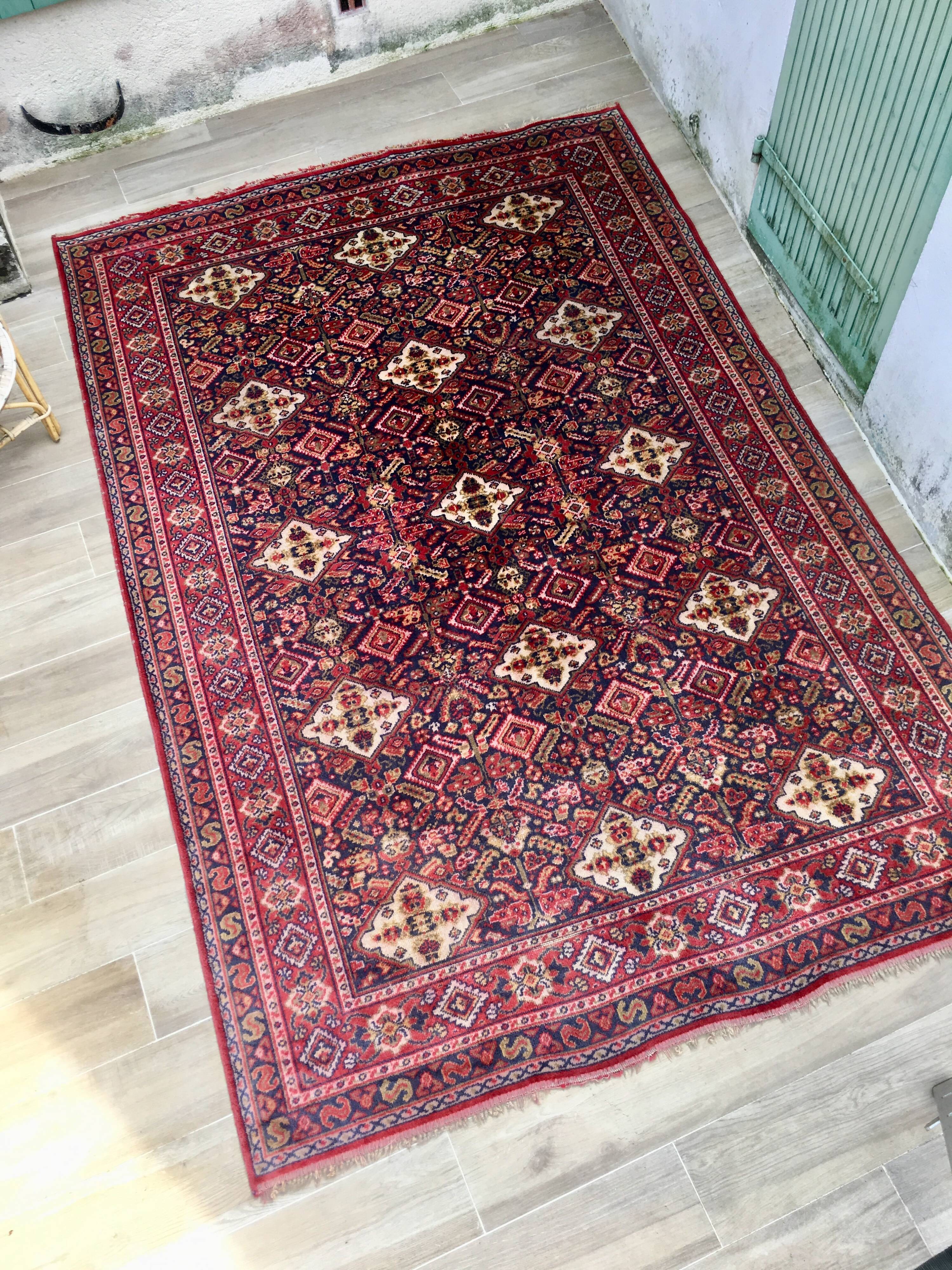 Sedan dot carpet 200x295cm