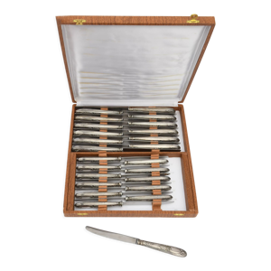 Coffret de 24 couteaux en métal