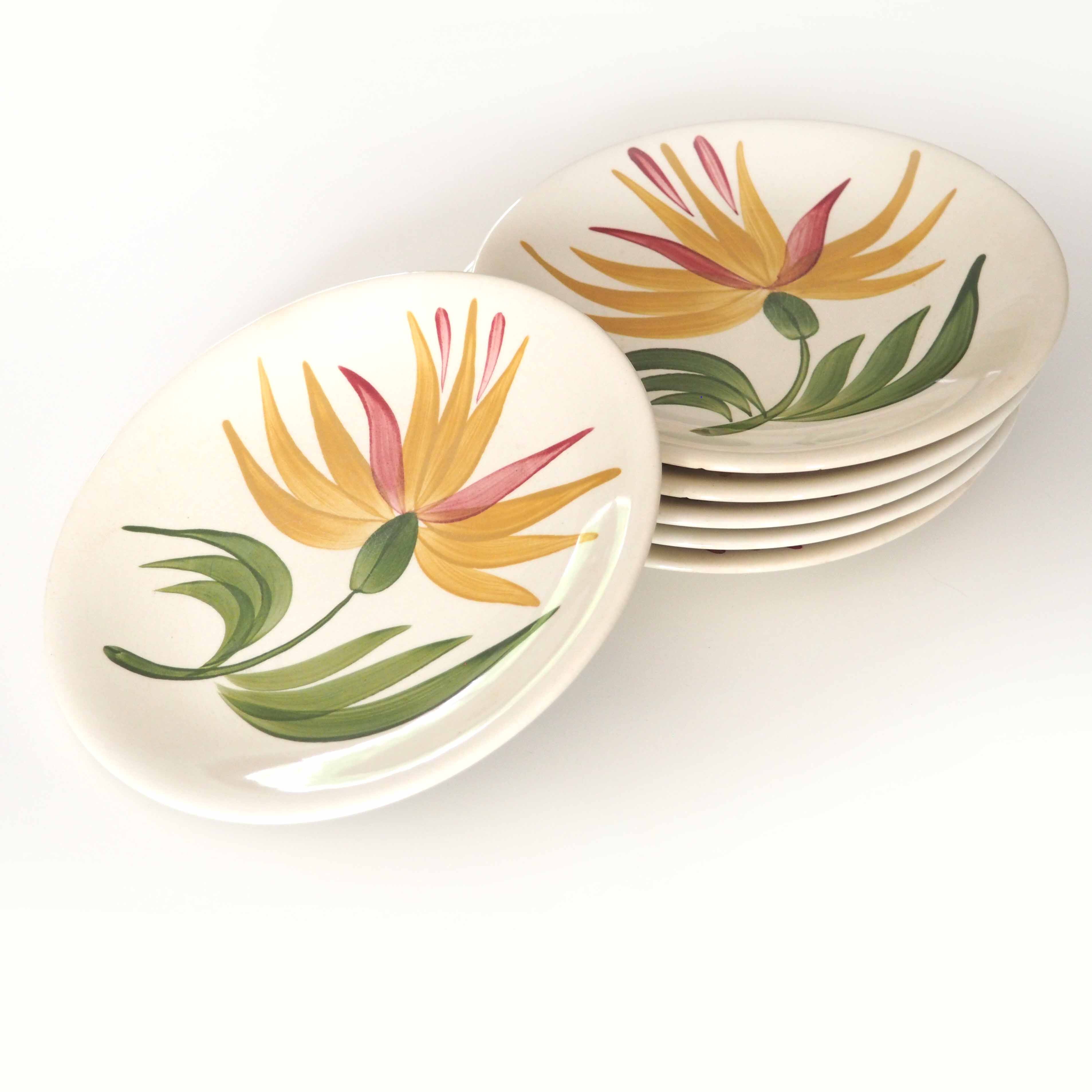 6 assiettes Longchamp decor fleur