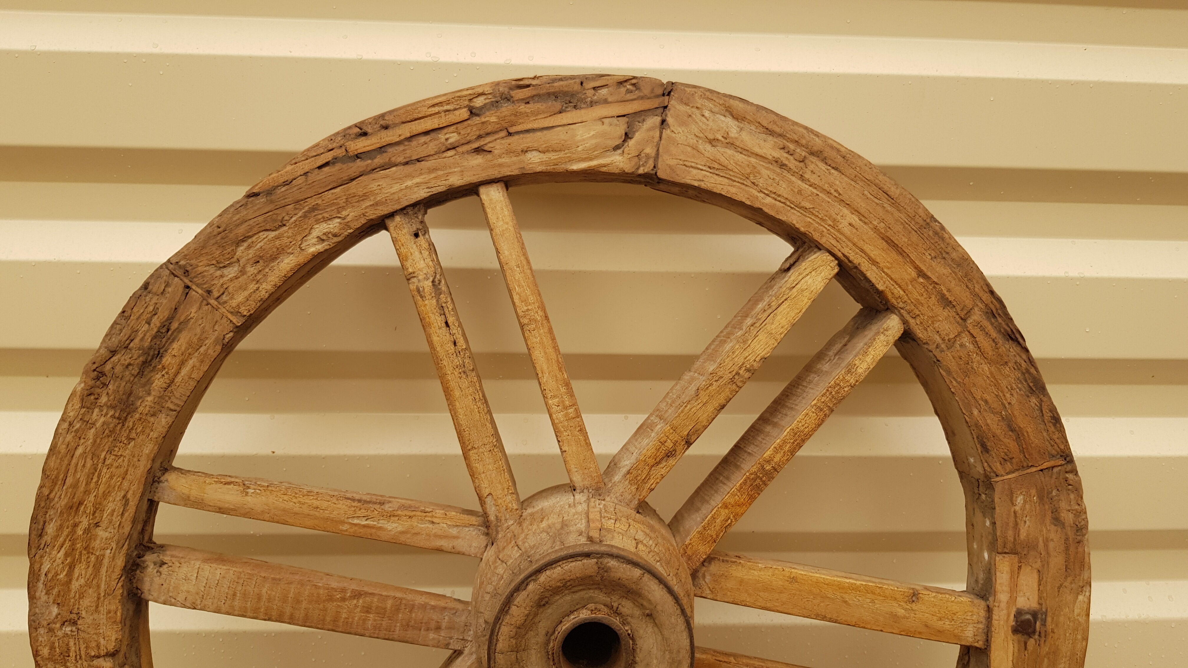 Old teak plow wheel