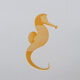 Engraving 1 yellow seahorse color