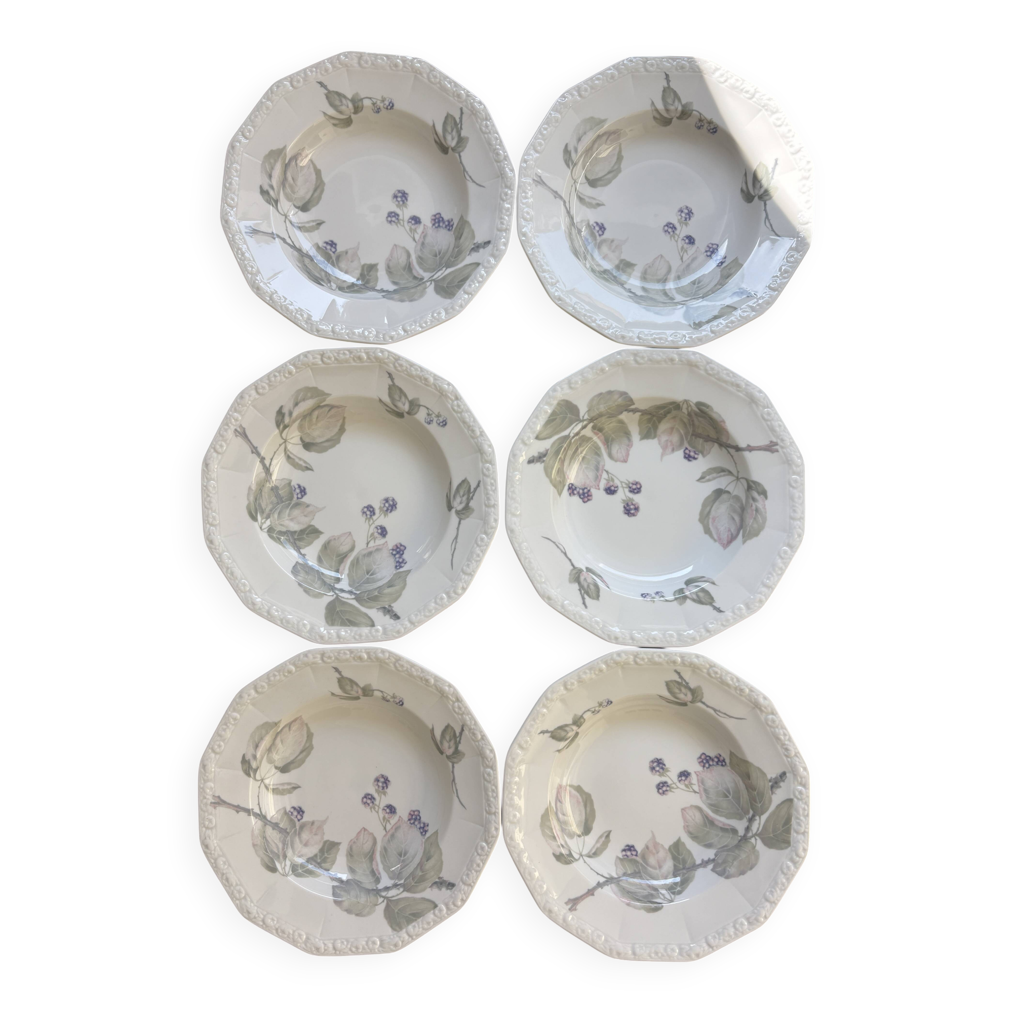 6 Rosenthal soup plates