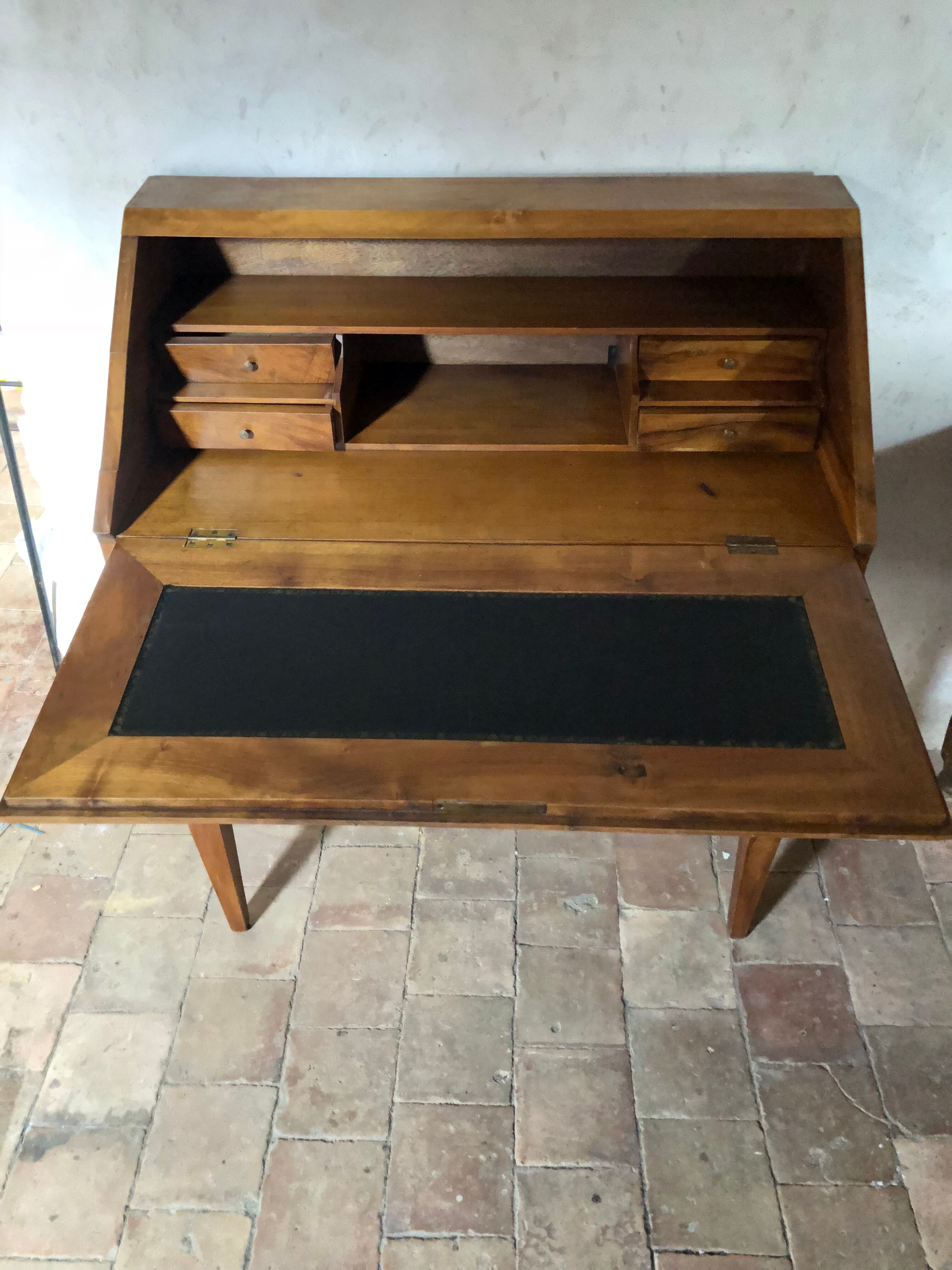 Secretary donkey back