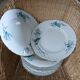12 antique ironstone dinner plates