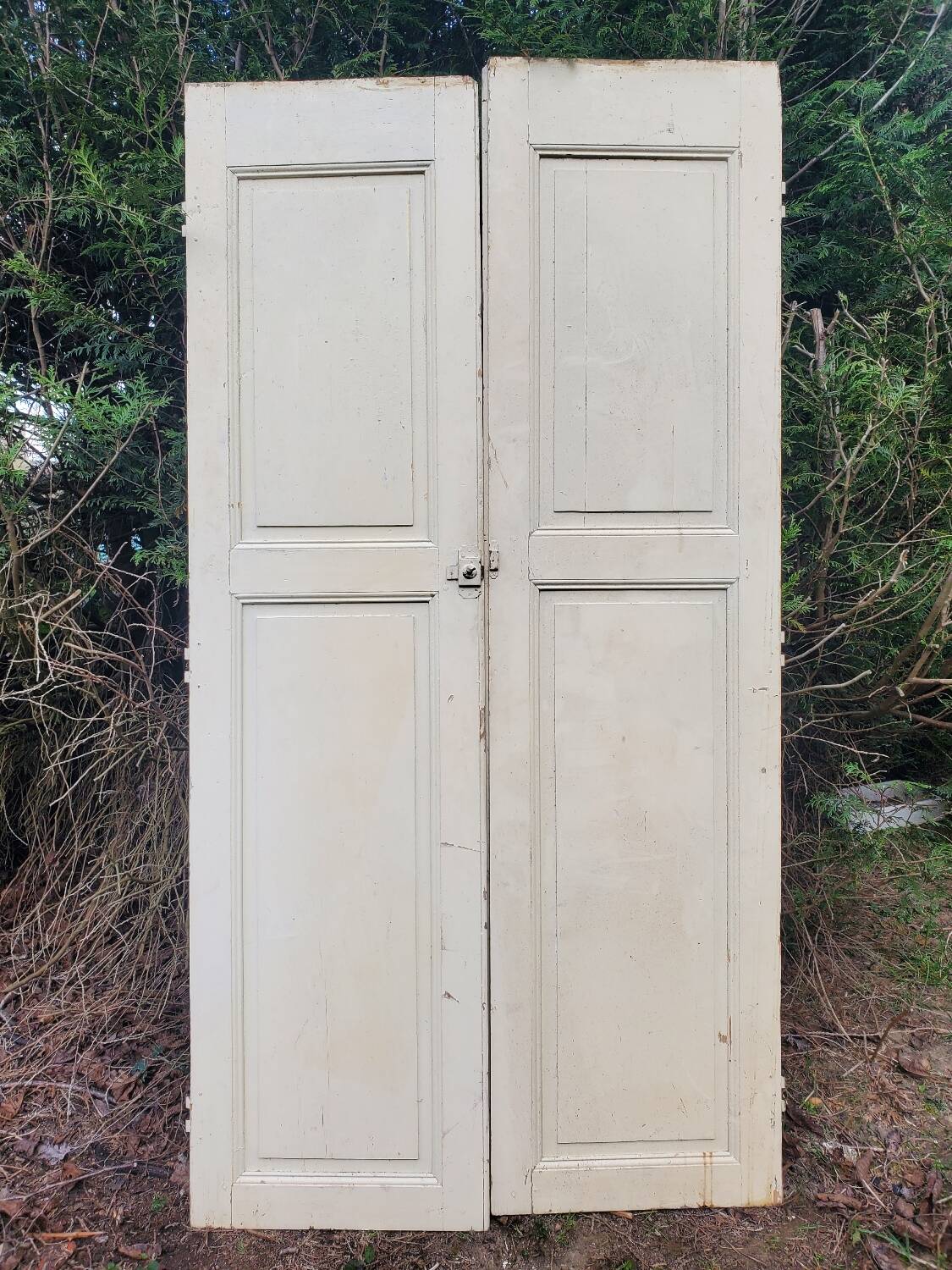 Pair of antique cupboard doors