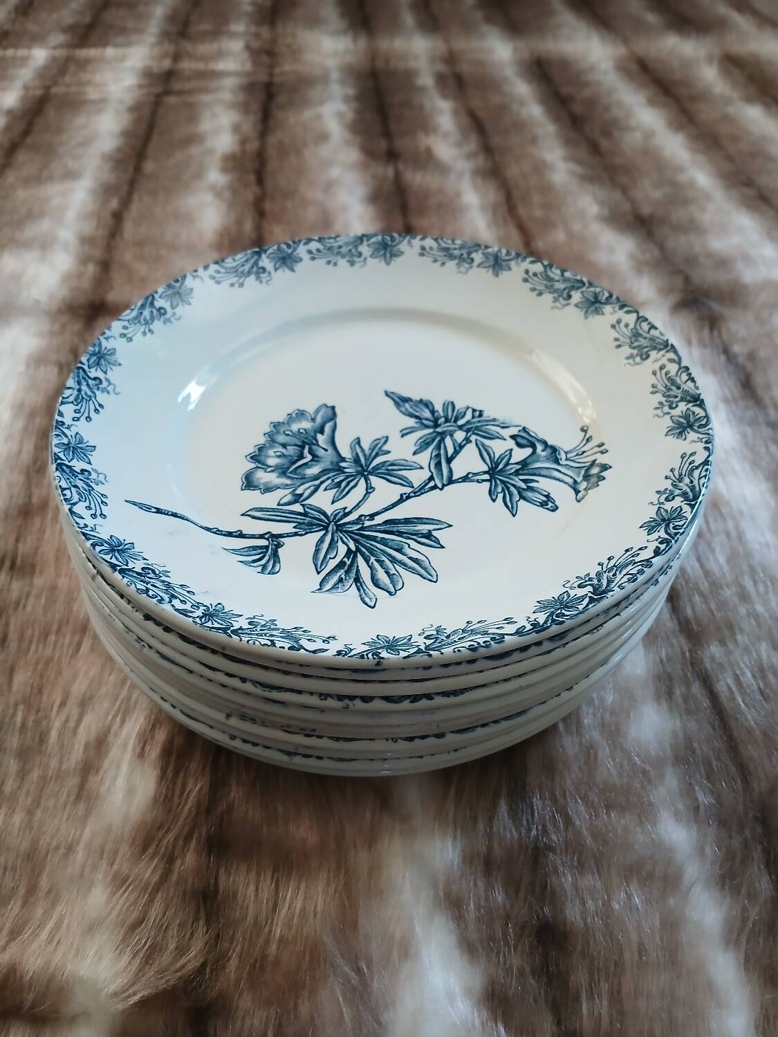 11 antique ironstone plates "Flora"