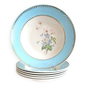 Assiettes creuses Badonviller