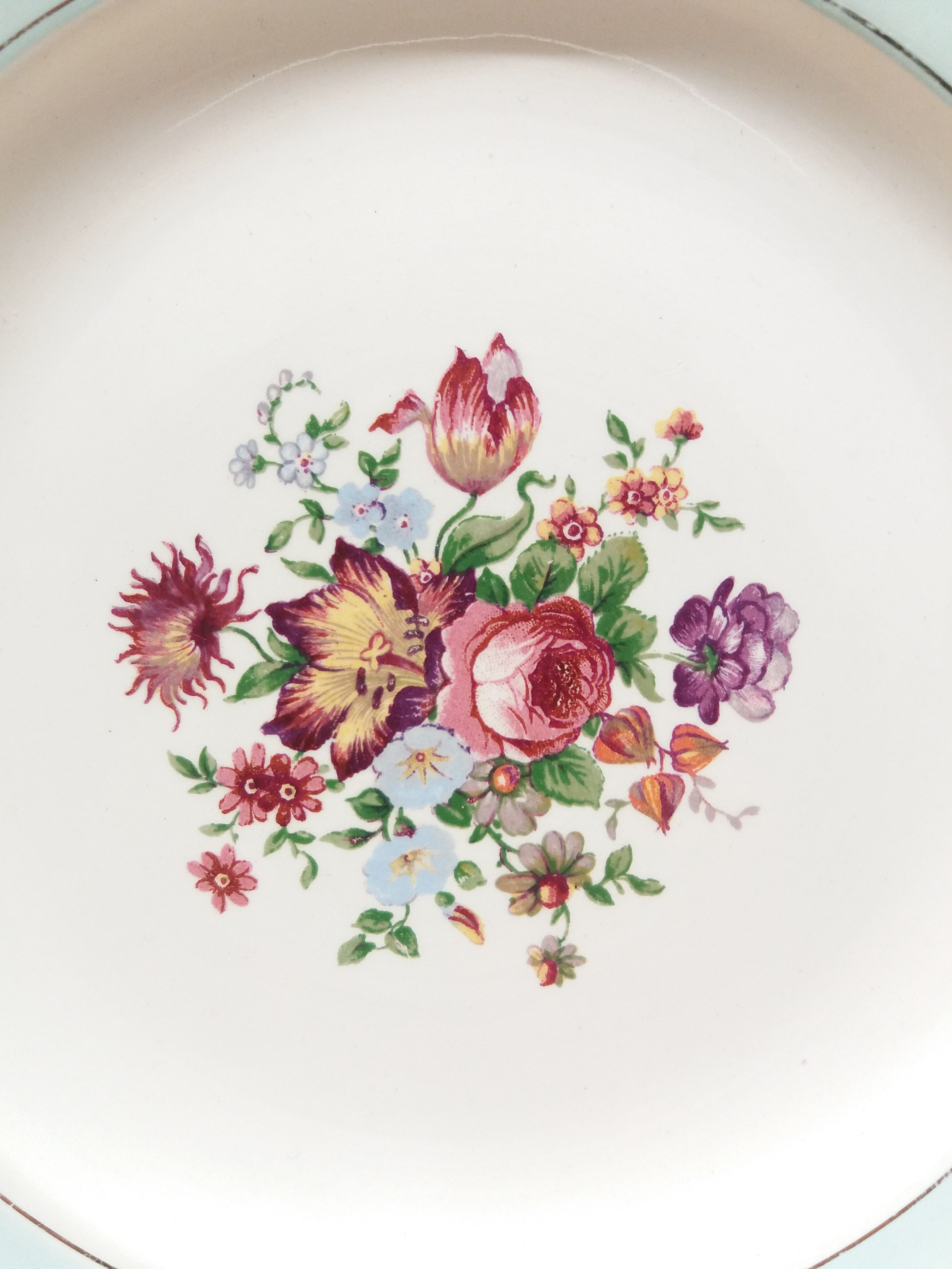 Set 6 dessert plates Sarreguemines