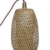Vietnamese suspension
