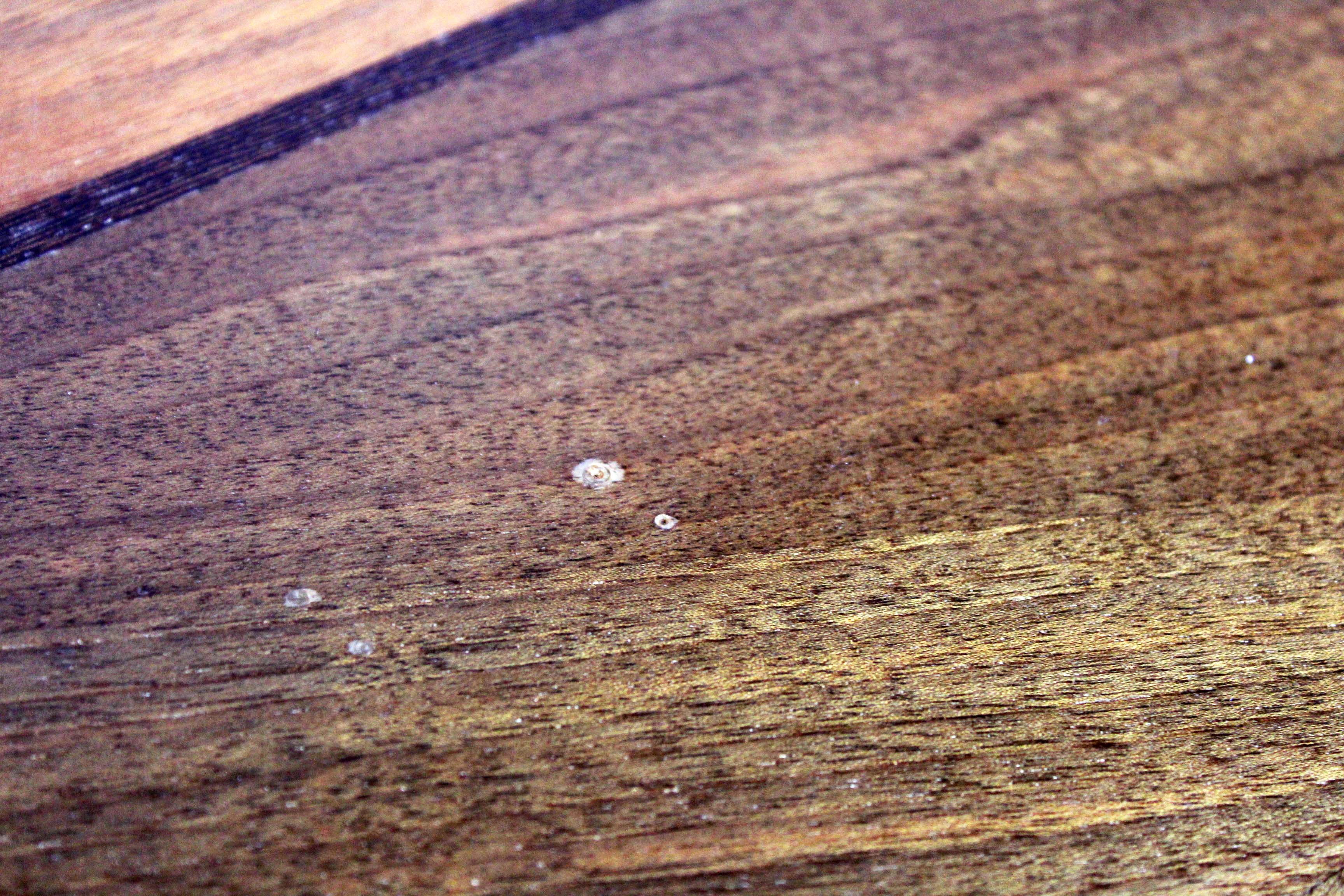 Table 70 height adjustable and extensible