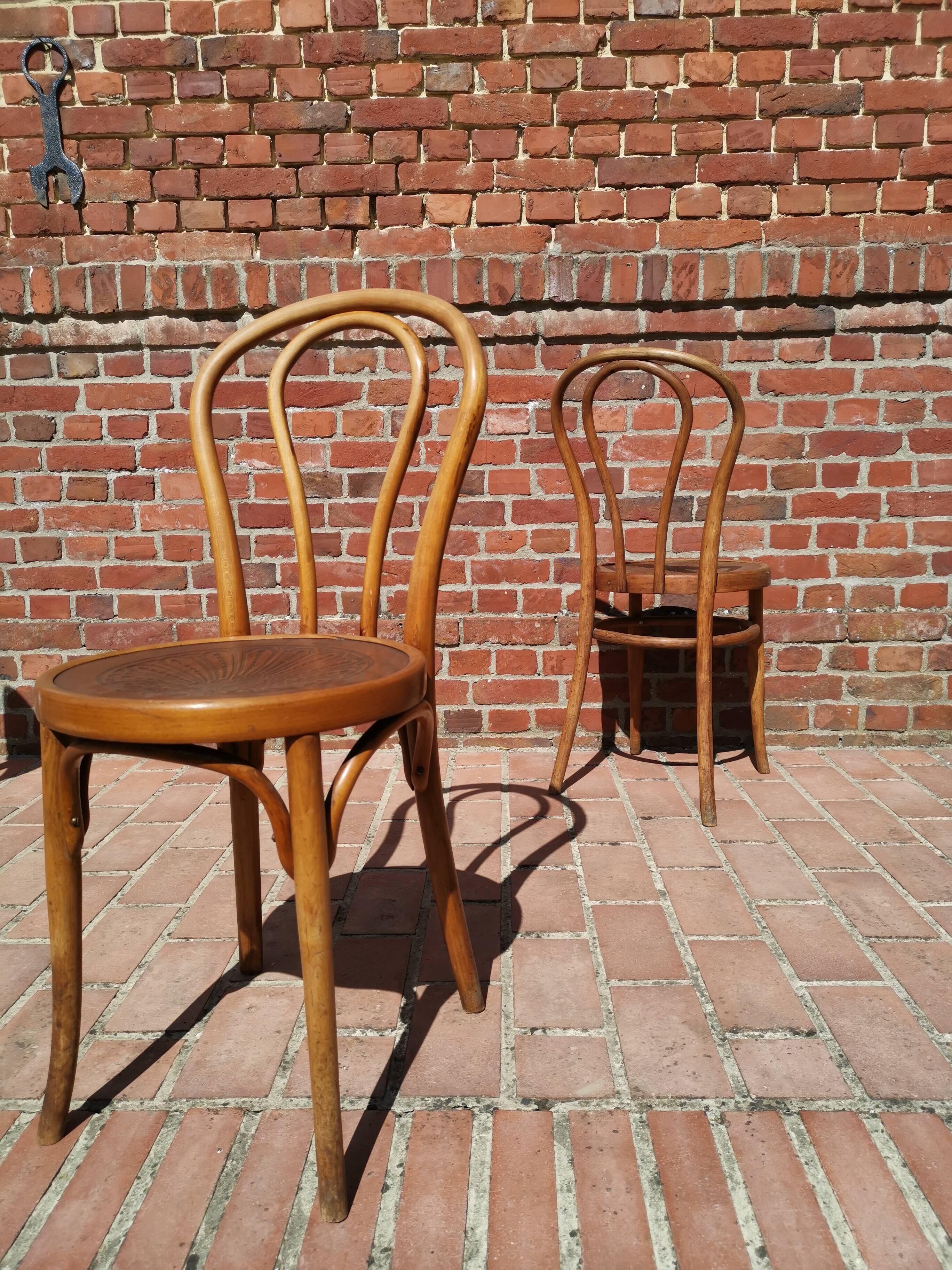 Lot of 6 chairs Jacob - Josef Kohn, Thonet, Mahieu
