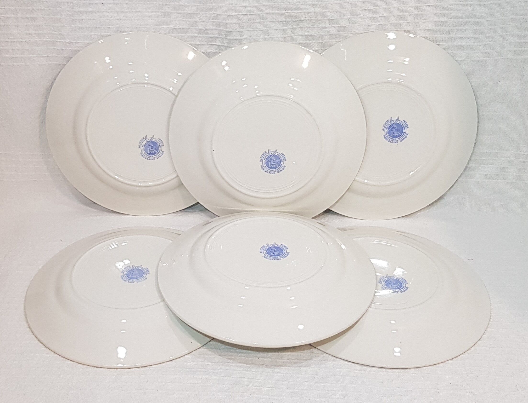 6 flat plates in opaque porcelain from Saint Amand and Hamage model Highness