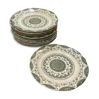 English plates