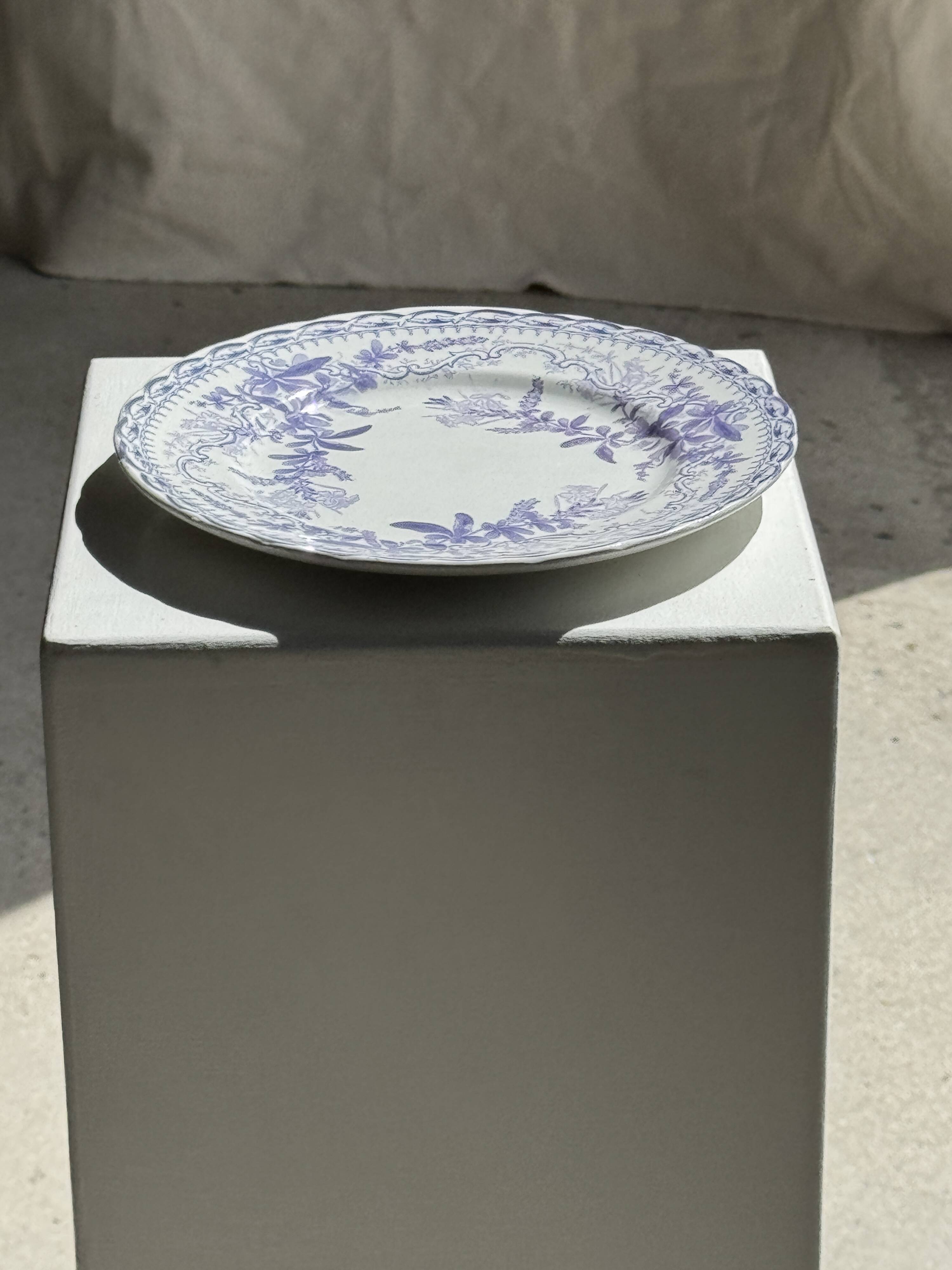 Set of 5 flat plates in earthenware with a lavender floral design H2 D22