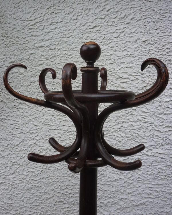 Porte-manteau perroquet bois courbé ancien