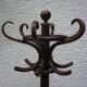 Old curved wood parrot coat holder