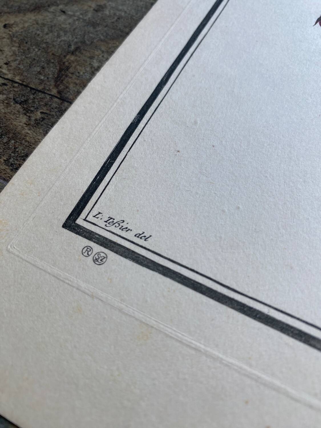 Two floral lithographs 224