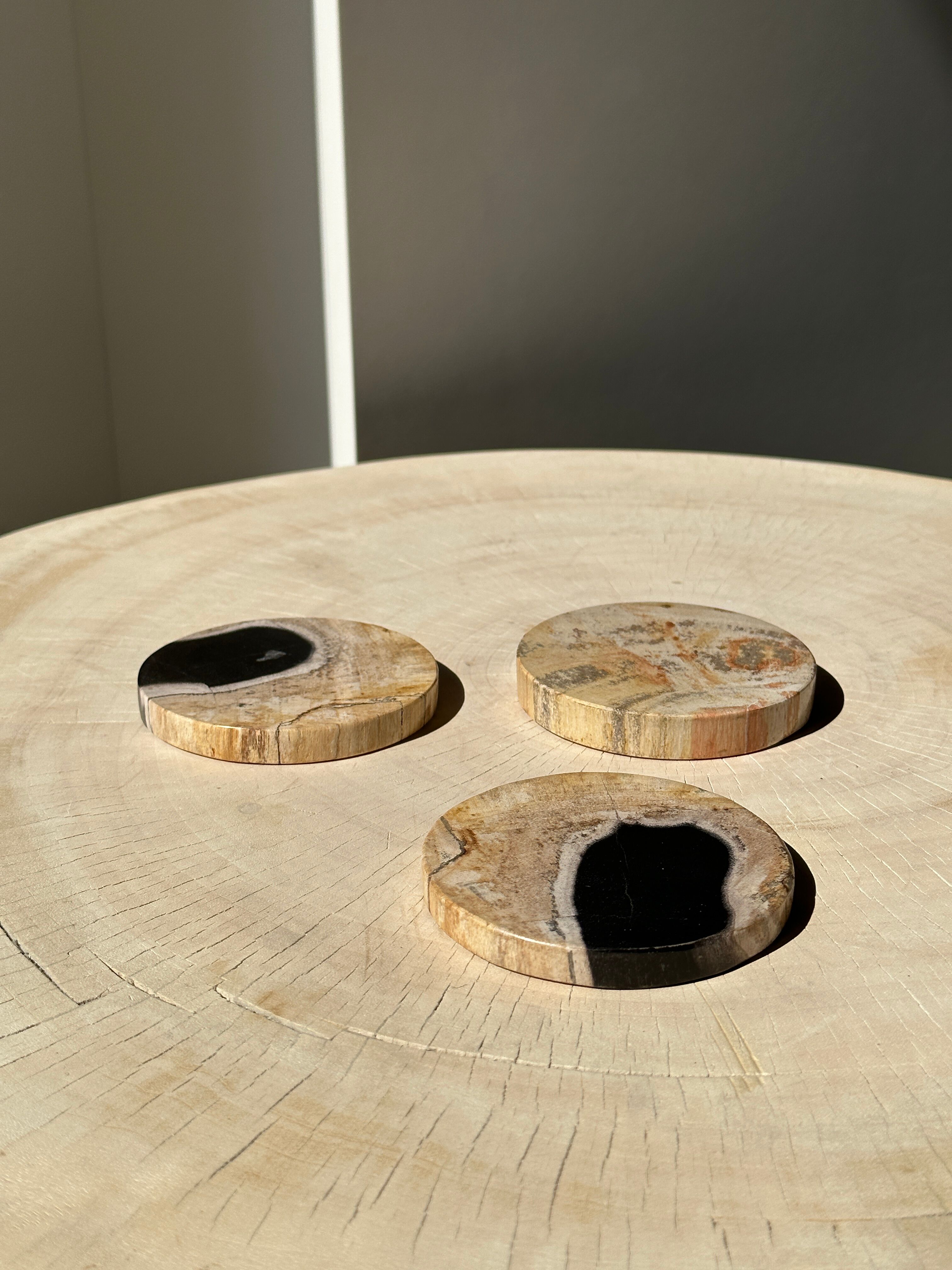 Set of 3 fossilized wooden coasters (clear)