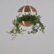 Danish plant holder with lighting by Poul Cadovius for Hans Følsgaard, '60