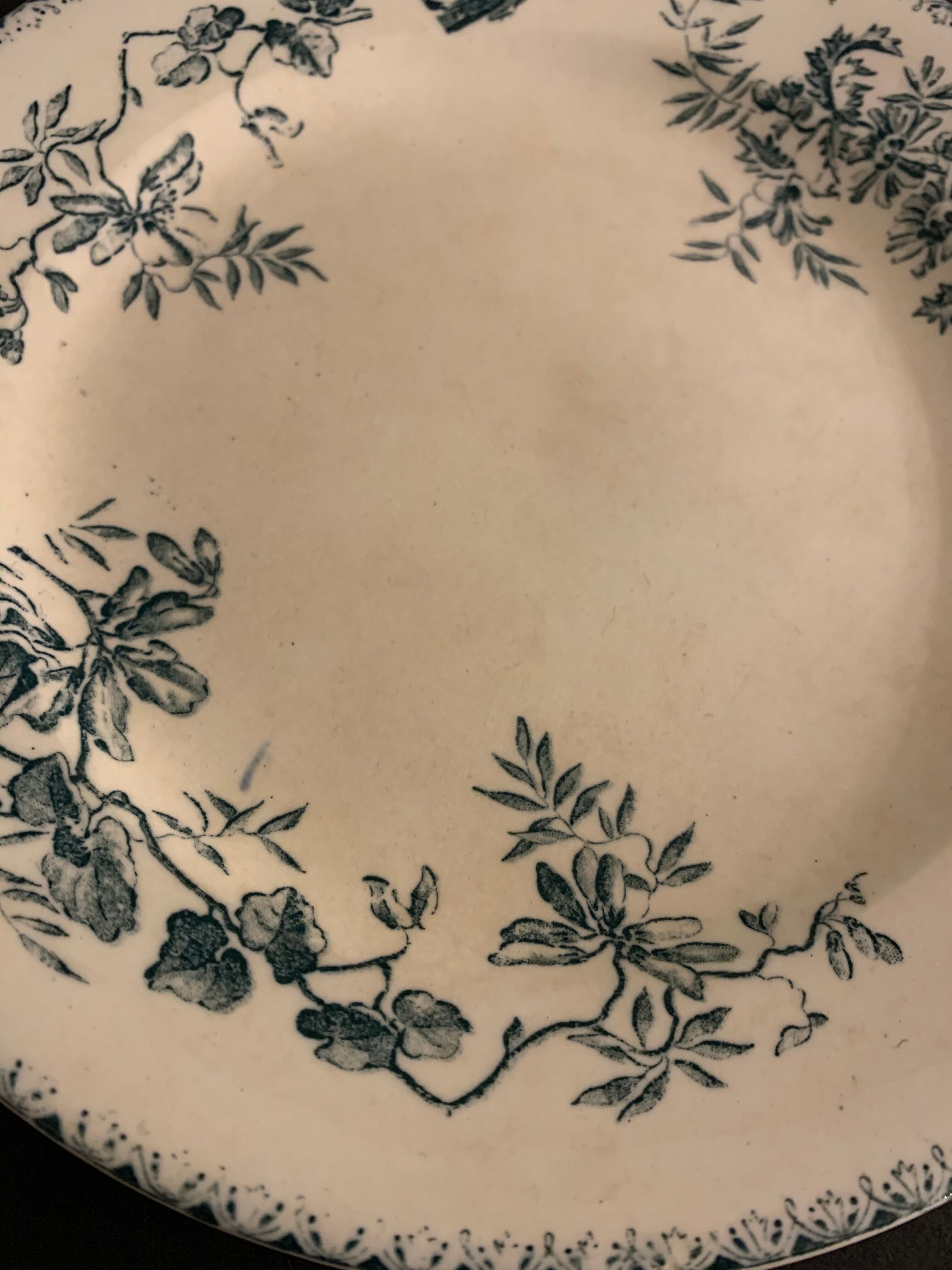 6 old blue flat plates La Samaritane Terre de Fer