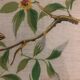 Bird painting