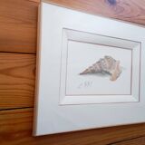 Watercolor signed Romey