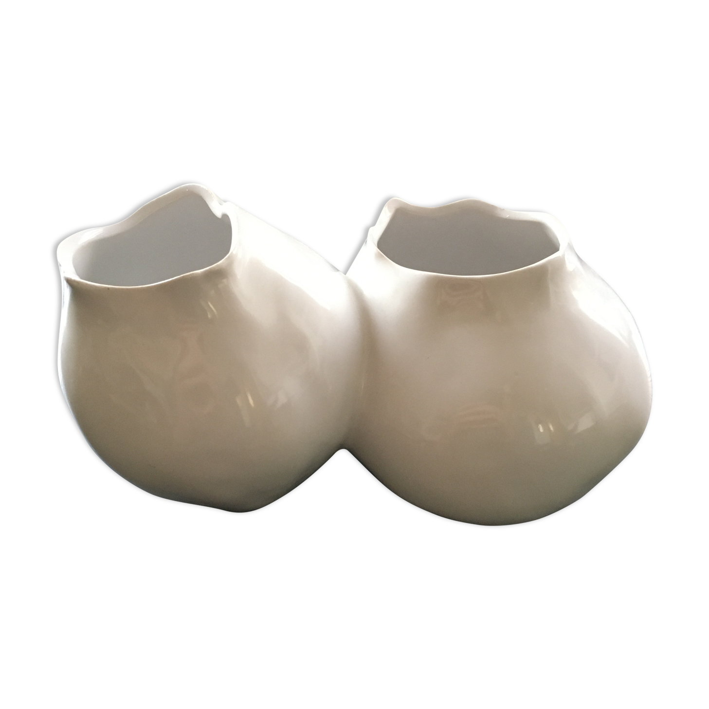 Double organic shaped vase